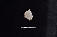 陶片藏品圖，第1張